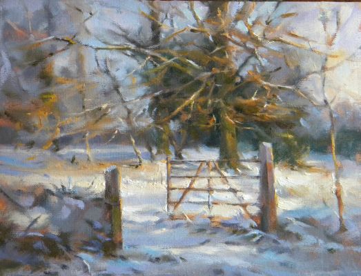 Winter Sunlight